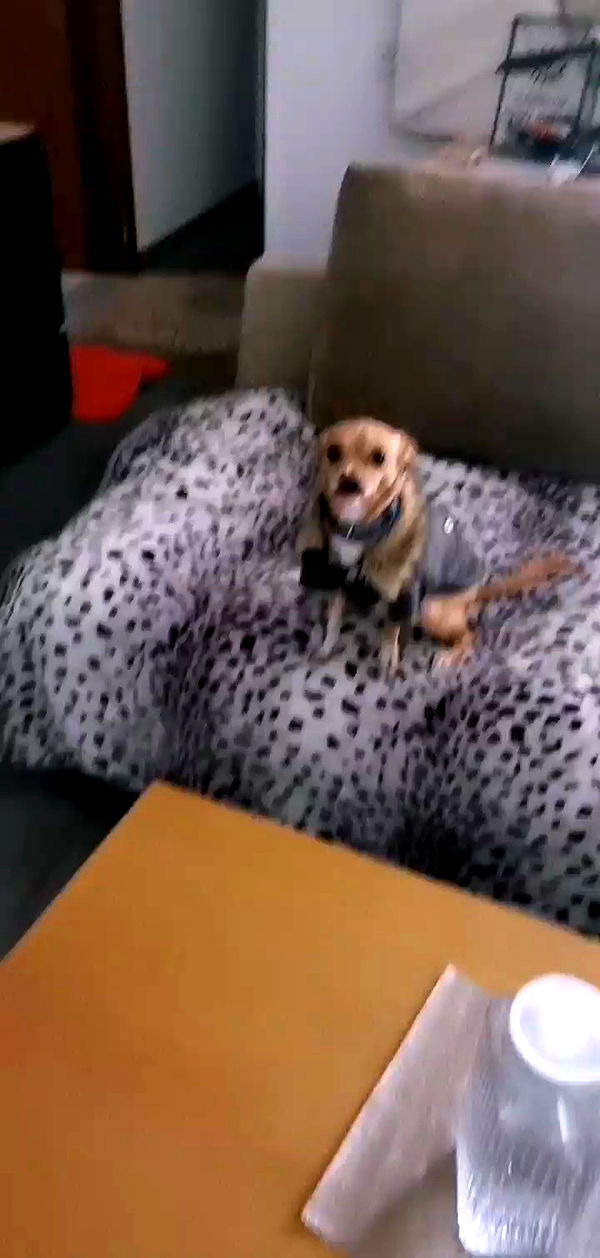 tinapavlov.sky archive video preview