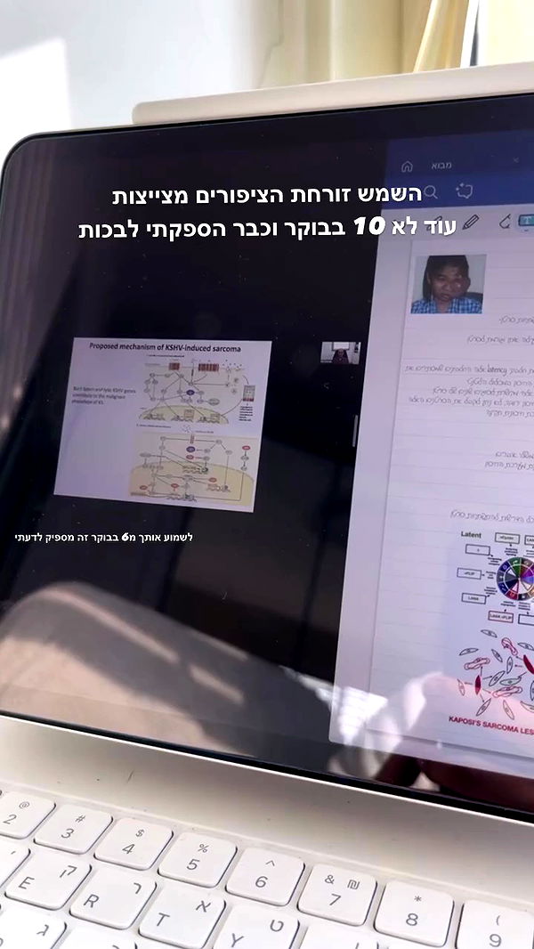 kesemgreenyer archive video preview