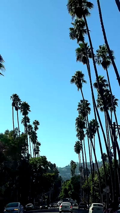 payton.r payton.r archive video