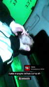 shirush.x_xd Altpins Profile Picture