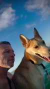 shaipeleg Altpins Profile Picture