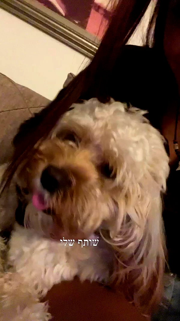 hadas_mayer_ archive video preview