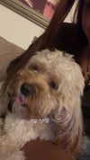 hadas_mayer_ Altpins Profile Picture