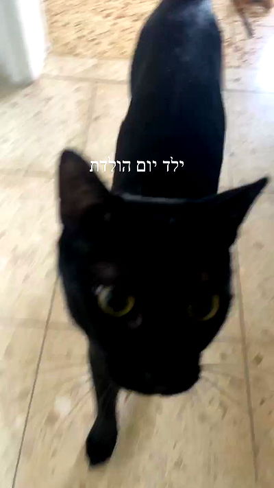 feelbetterinmysweater feelbetterinmysweater archive video