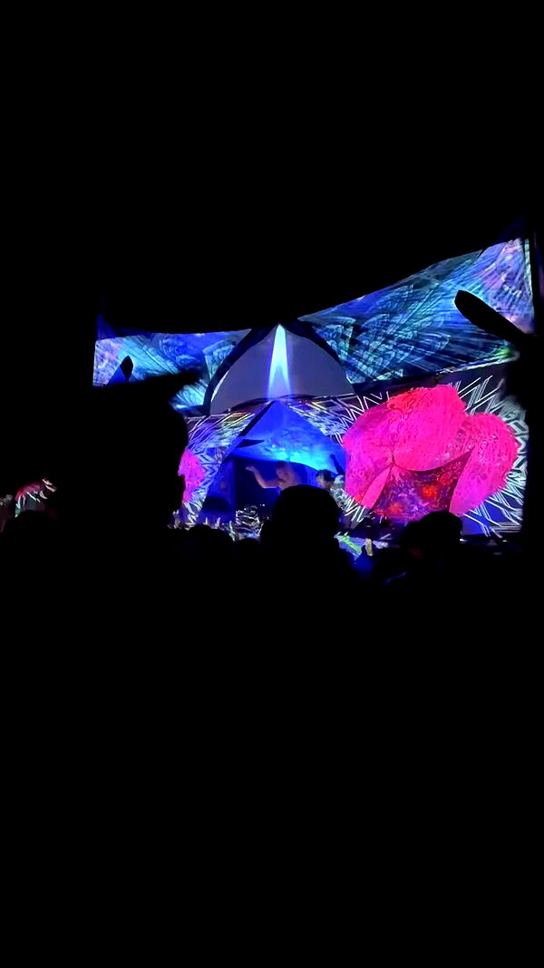 noa_mendel_ archive video preview