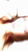 shavgulidzenatt Altpins Profile Picture