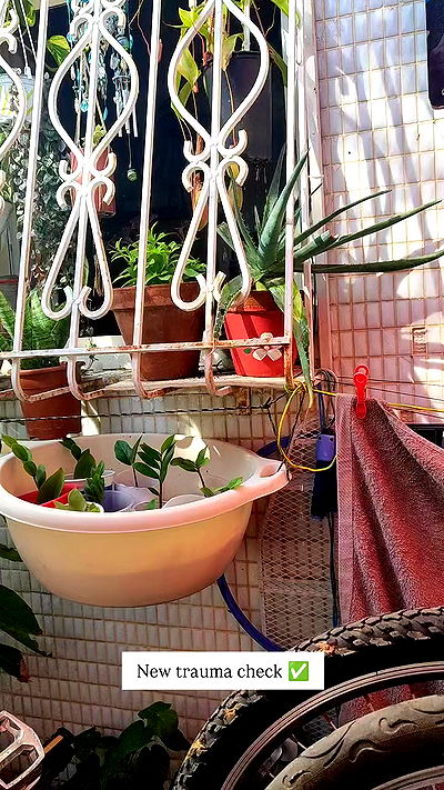 1justsabi 1justsabi archive video