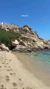 lital.oss Altpins Profile Picture