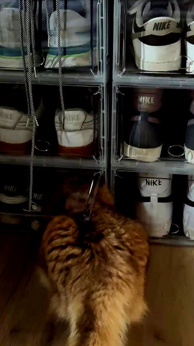 itsilanosh itsilanosh archive video