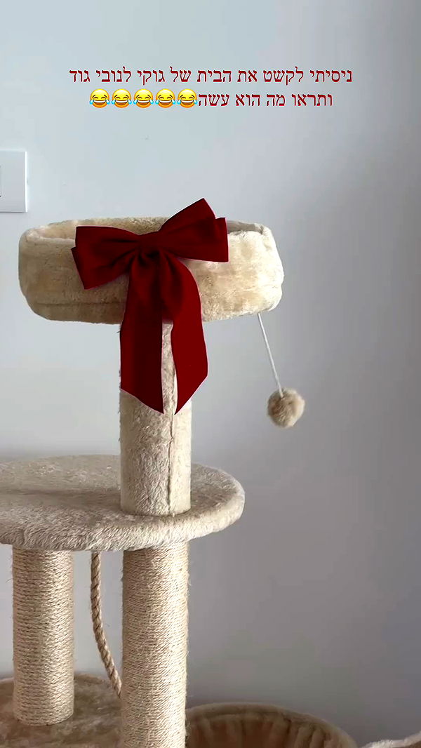 itsilanosh archive video preview