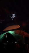 dankathetraveller Altpins Profile Picture