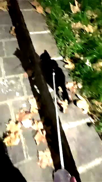 aekamee aekamee archive video