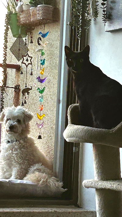 feelbetterinmysweater feelbetterinmysweater archive video