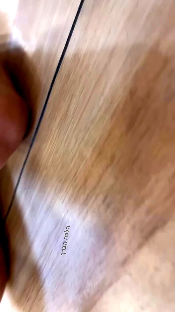 efrat_elmalich archive video preview