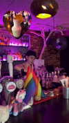 alma.almog Altpins Profile Picture