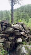 noa_mendel_ Altpins Profile Picture