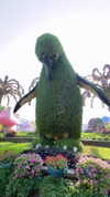 shirin_danin Altpins Profile Picture