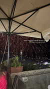 noam_alon1 Altpins Profile Picture