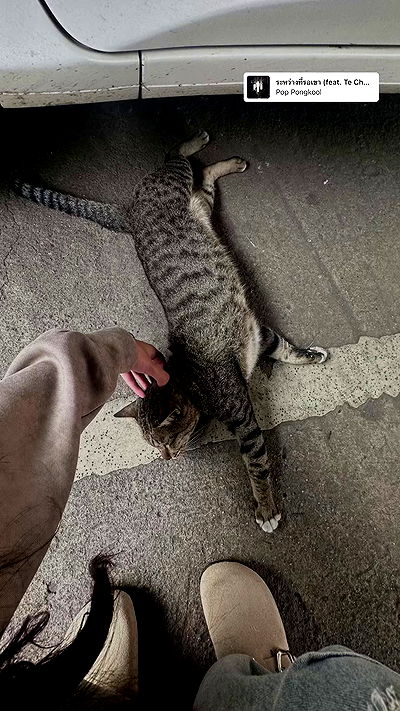 oqr0_ oqr0_ archive video