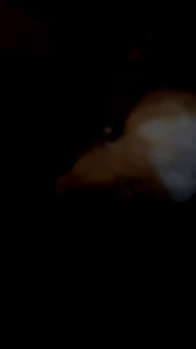 hellokittyangel666 hellokittyangel666 archive video