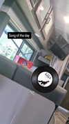 zz.eazoning Altpins Profile Picture