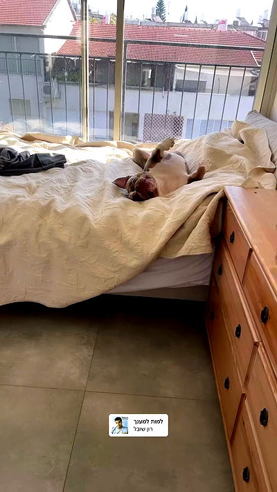 kesemgreenyer kesemgreenyer archive video