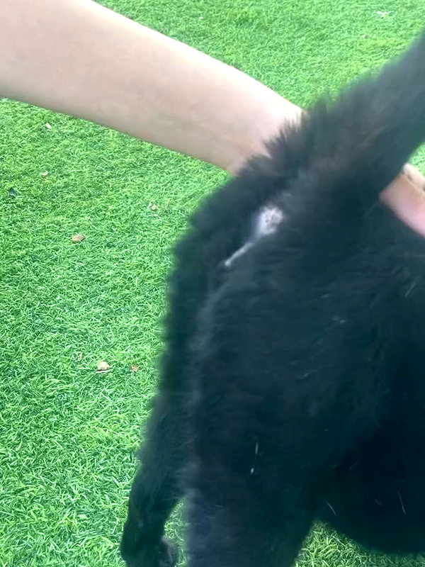 mia_rihan_ archive video preview