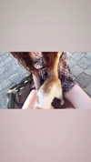 6a1it Altpins Profile Picture