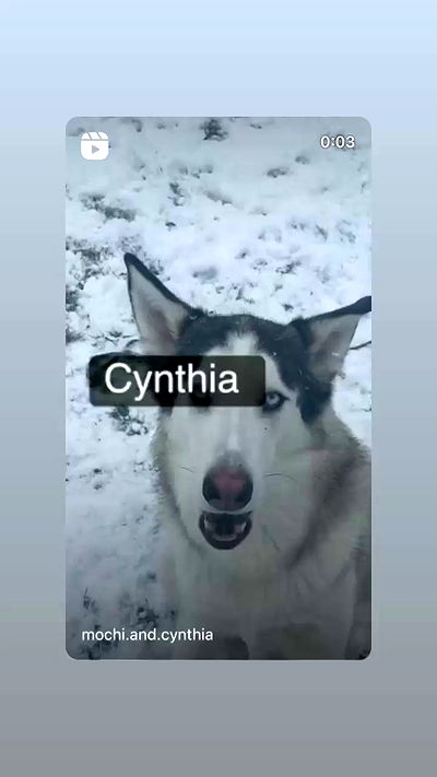 _animechika_ _animechika_ archive video