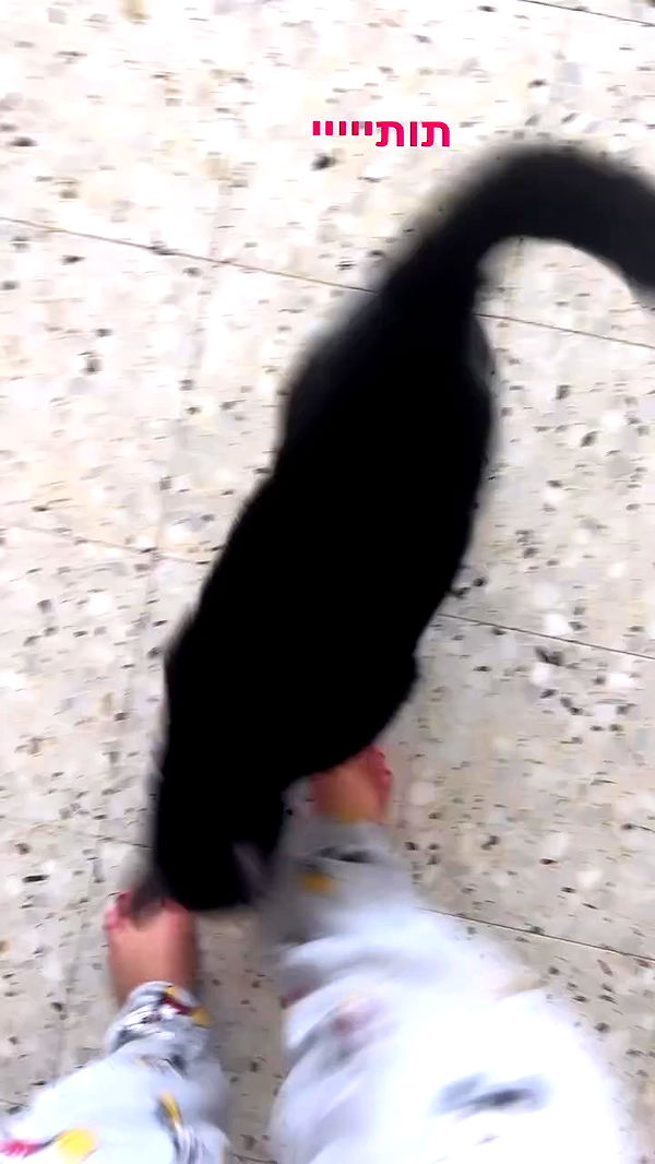 hellokittyangel666 archive video preview