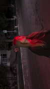 lsdxsx Altpins Profile Picture