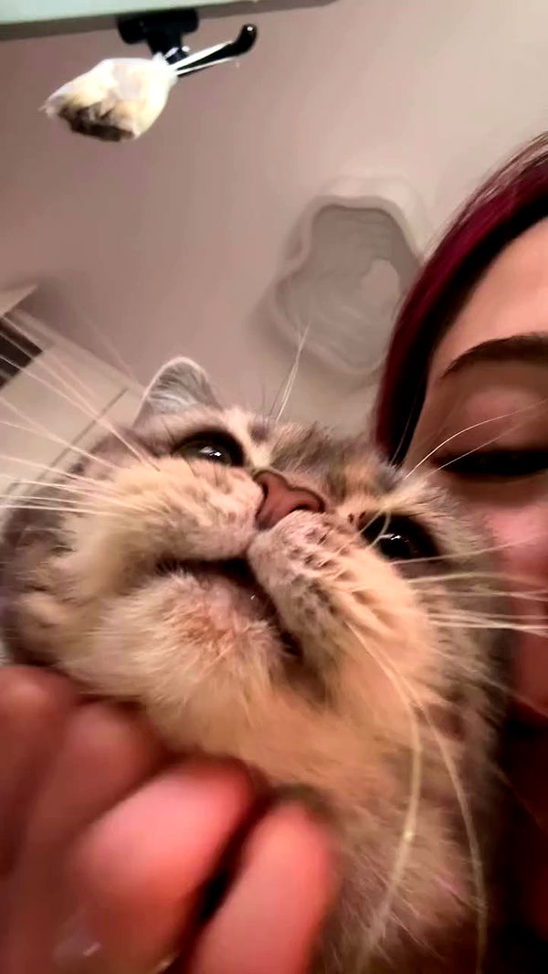 natahalieeee archive video preview