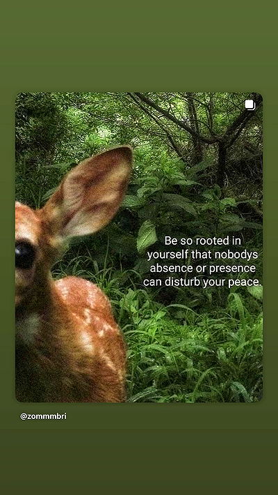 zommmbri zommmbri archive video