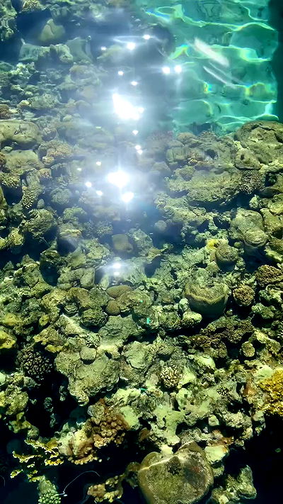 g.a.l.1.a g.a.l.1.a archive video