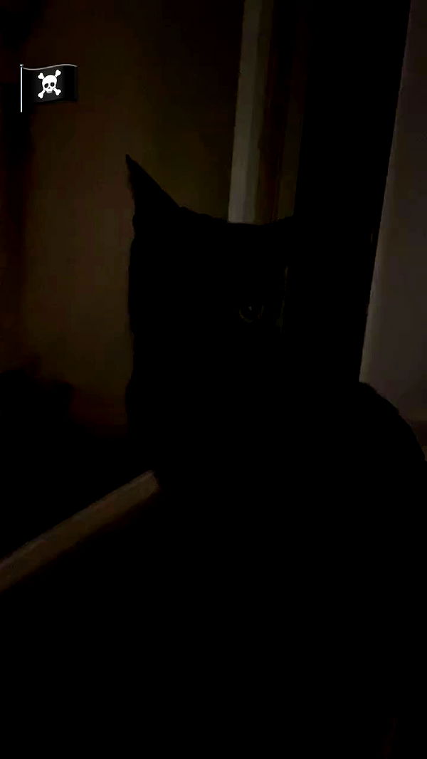 feelbetterinmysweater archive video preview