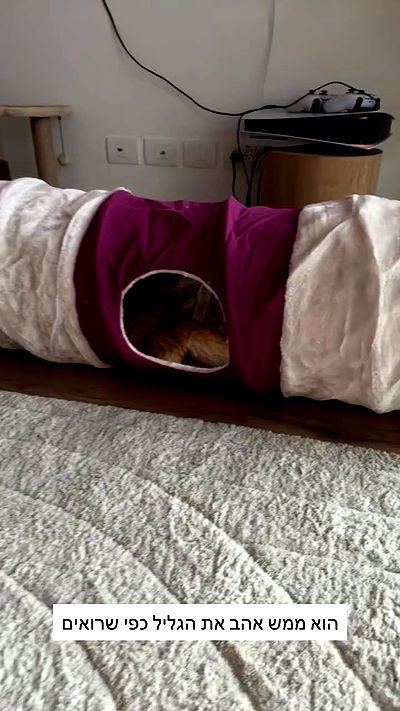 itsilanosh itsilanosh archive video