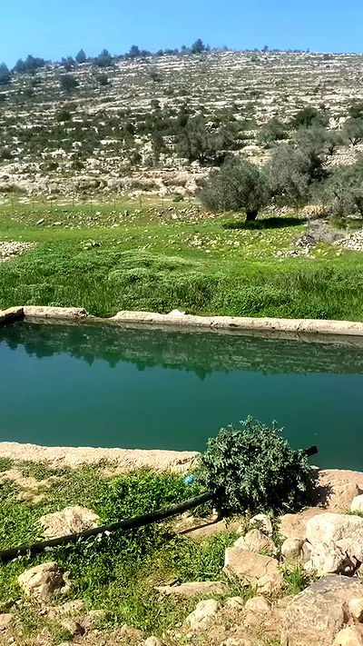 lilllush lilllush archive video