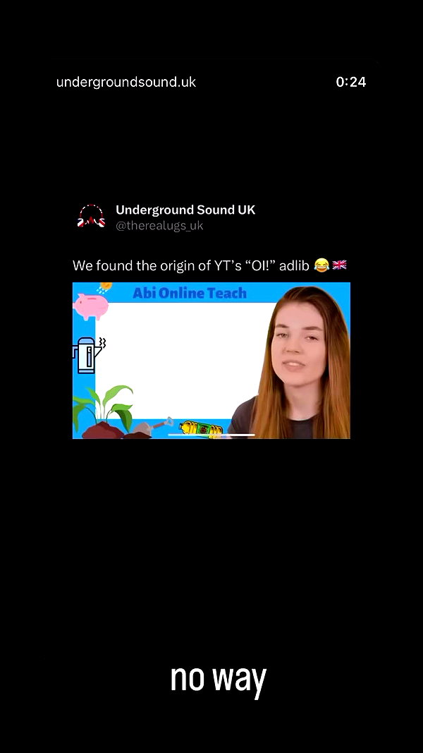 wivvymivvy archive video preview