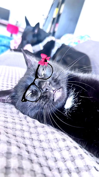 hellokittyangel666 hellokittyangel666 archive video