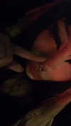 algofobica Altpins Profile Picture