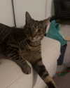 itshannahowo Altpins Profile Picture