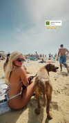 libbycannon_ Altpins Profile Picture