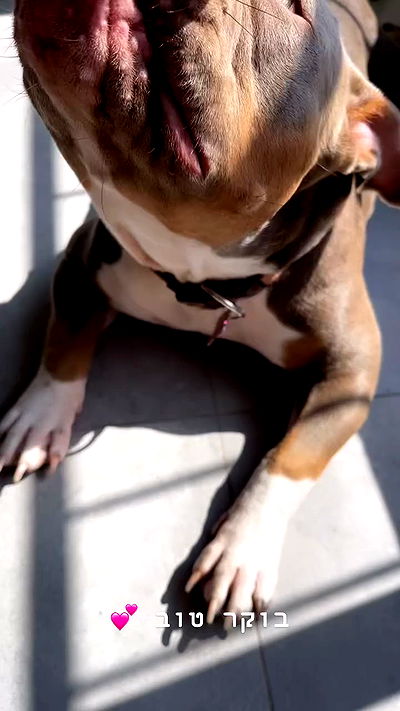 kesemgreenyer kesemgreenyer archive video