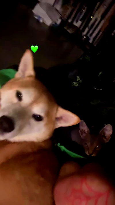 zommmbri zommmbri archive video