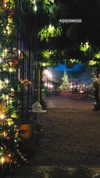 noa_mendel_ Altpins Profile Picture