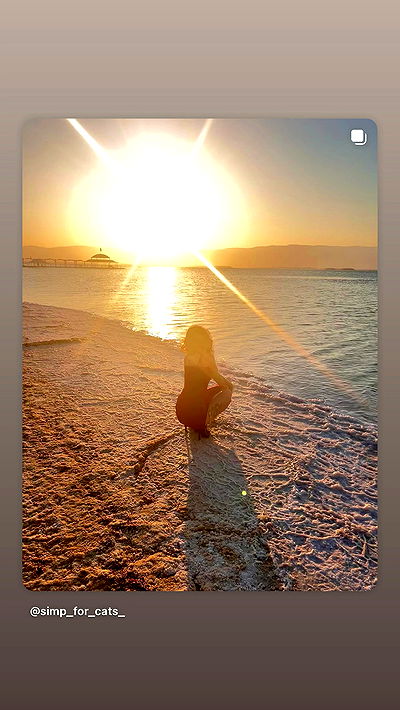 simp_for_cats_ simp_for_cats_ archive video