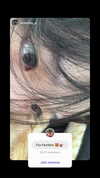 kitsunee.___ Altpins Profile Picture