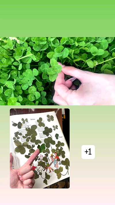 howeversnowy howeversnowy archive video