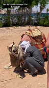 yana_esa Altpins Profile Picture