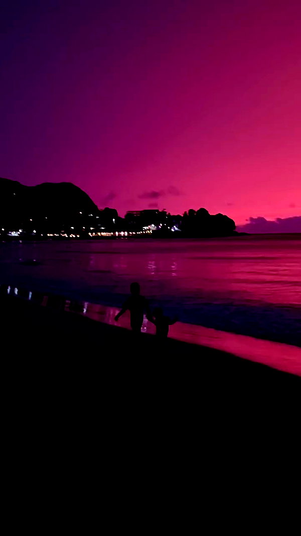 noa_mendel_ archive video preview